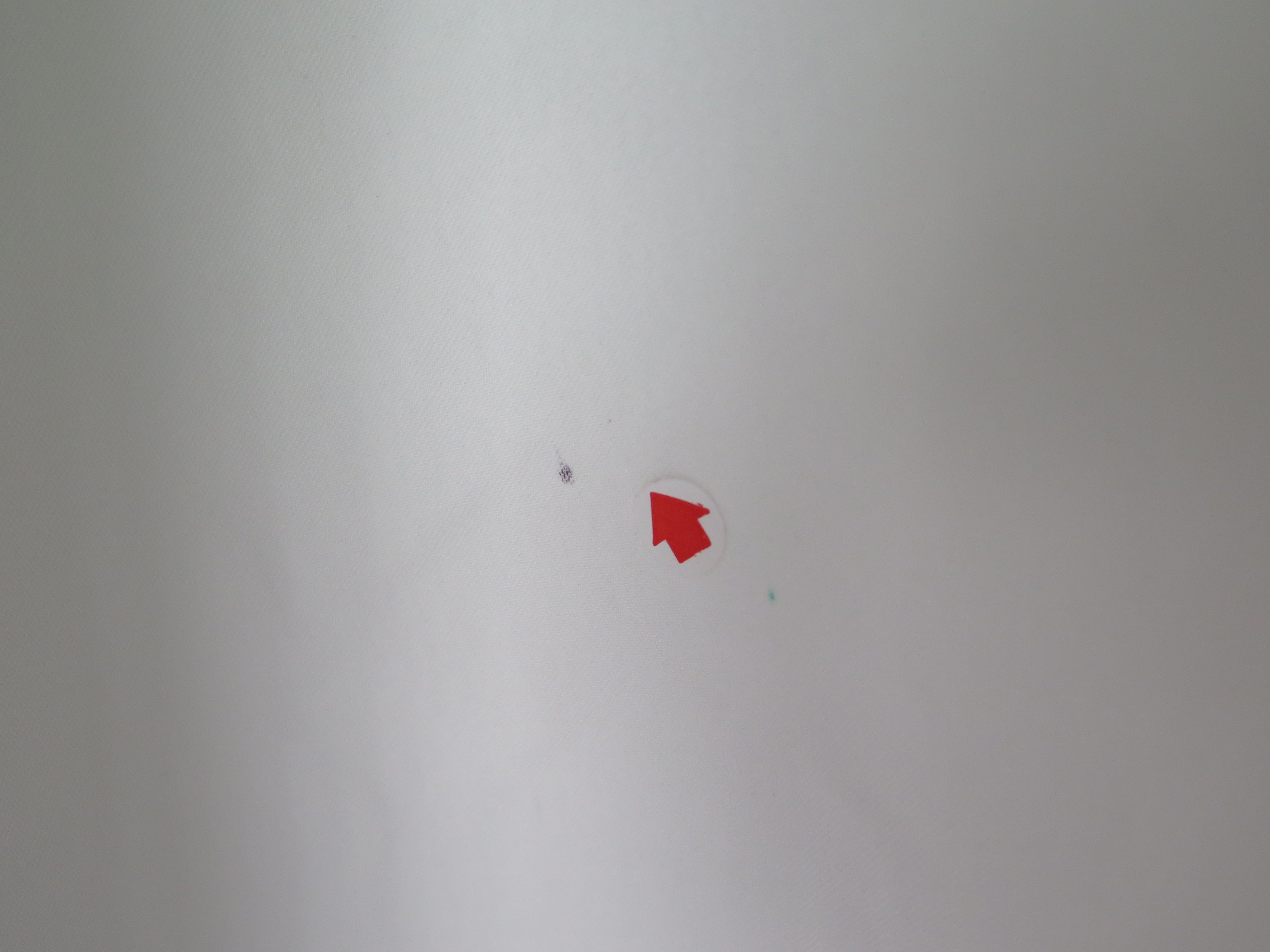 [DEFECT] Offwhite Nira L