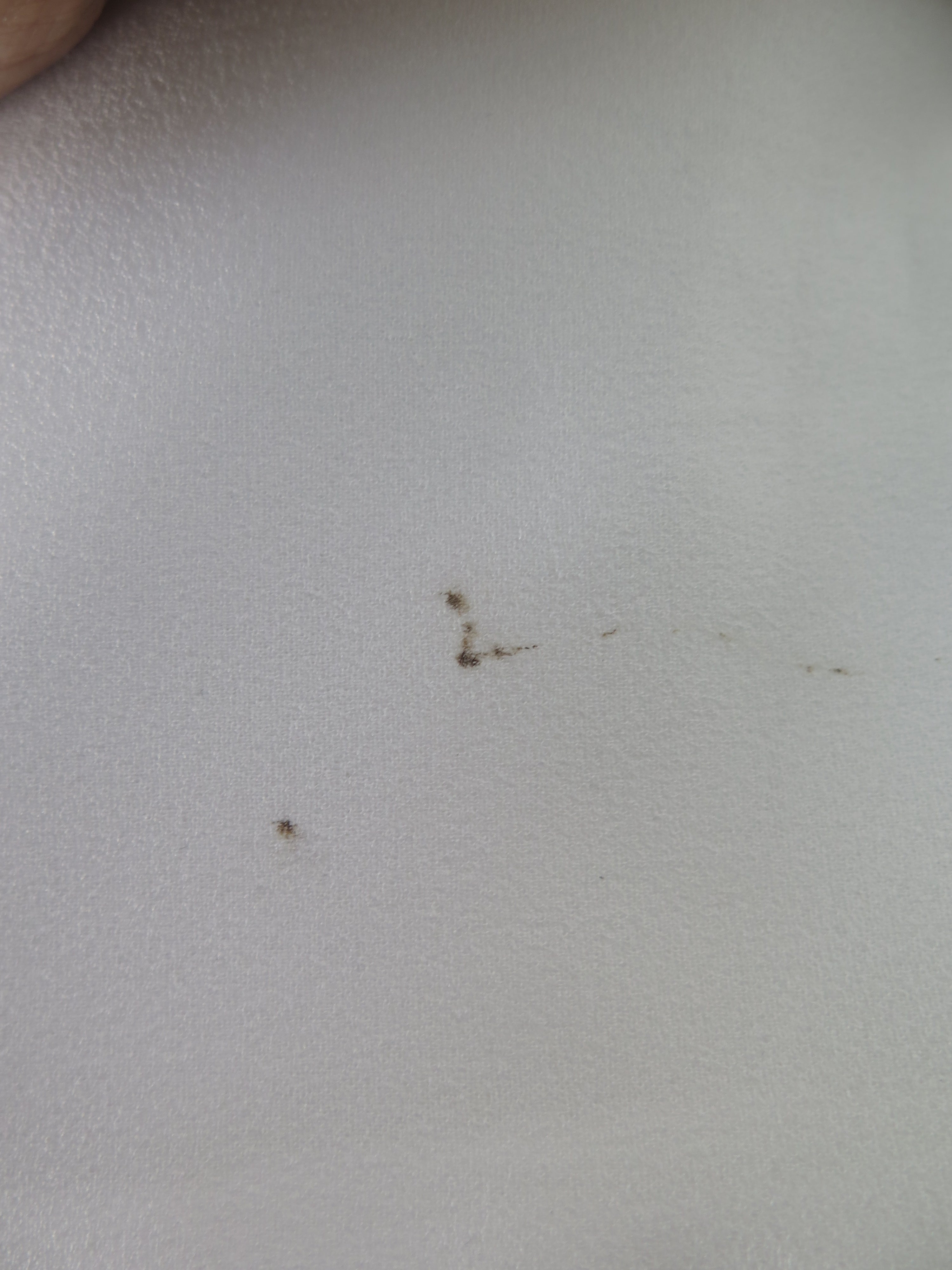 [DEFECT] Offwhite Anya XS