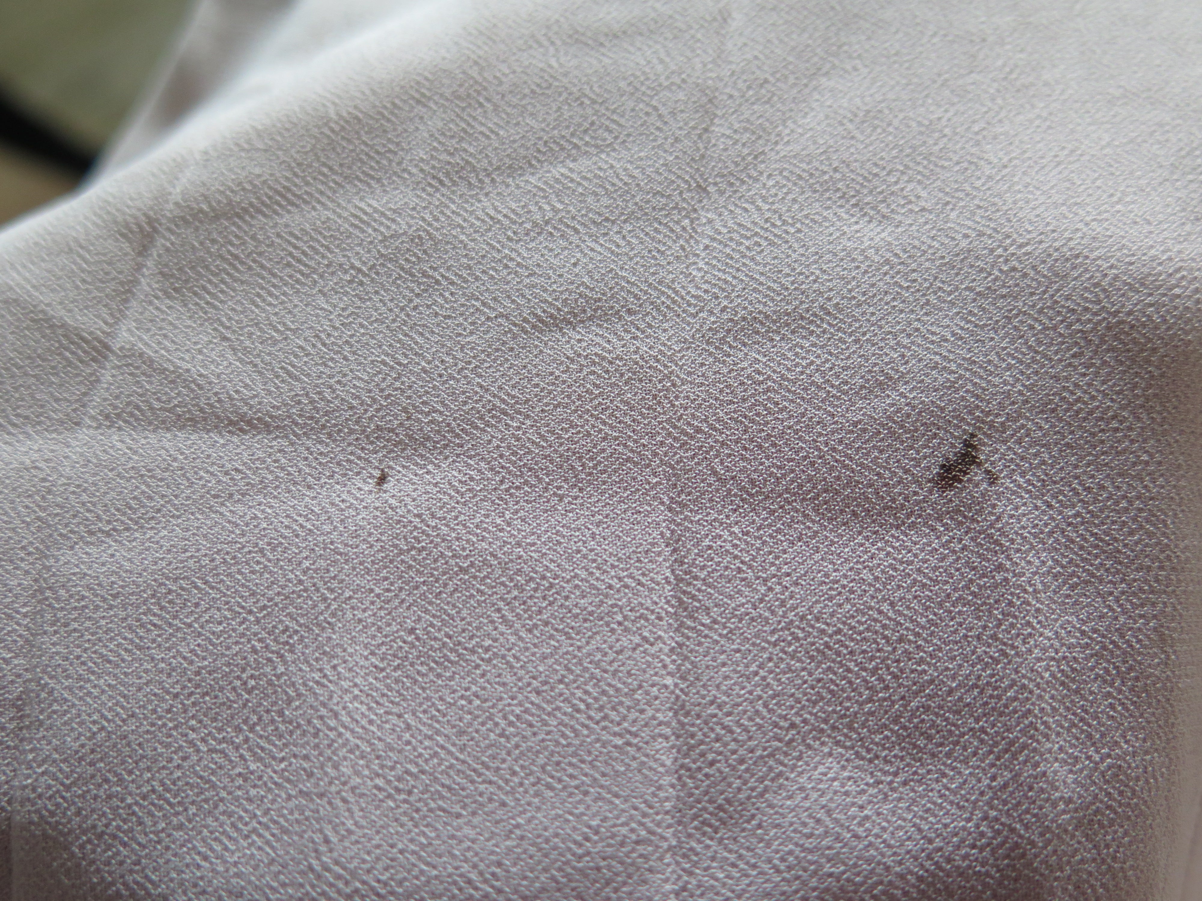 [DEFECT] Eggshell Hening XS,XL