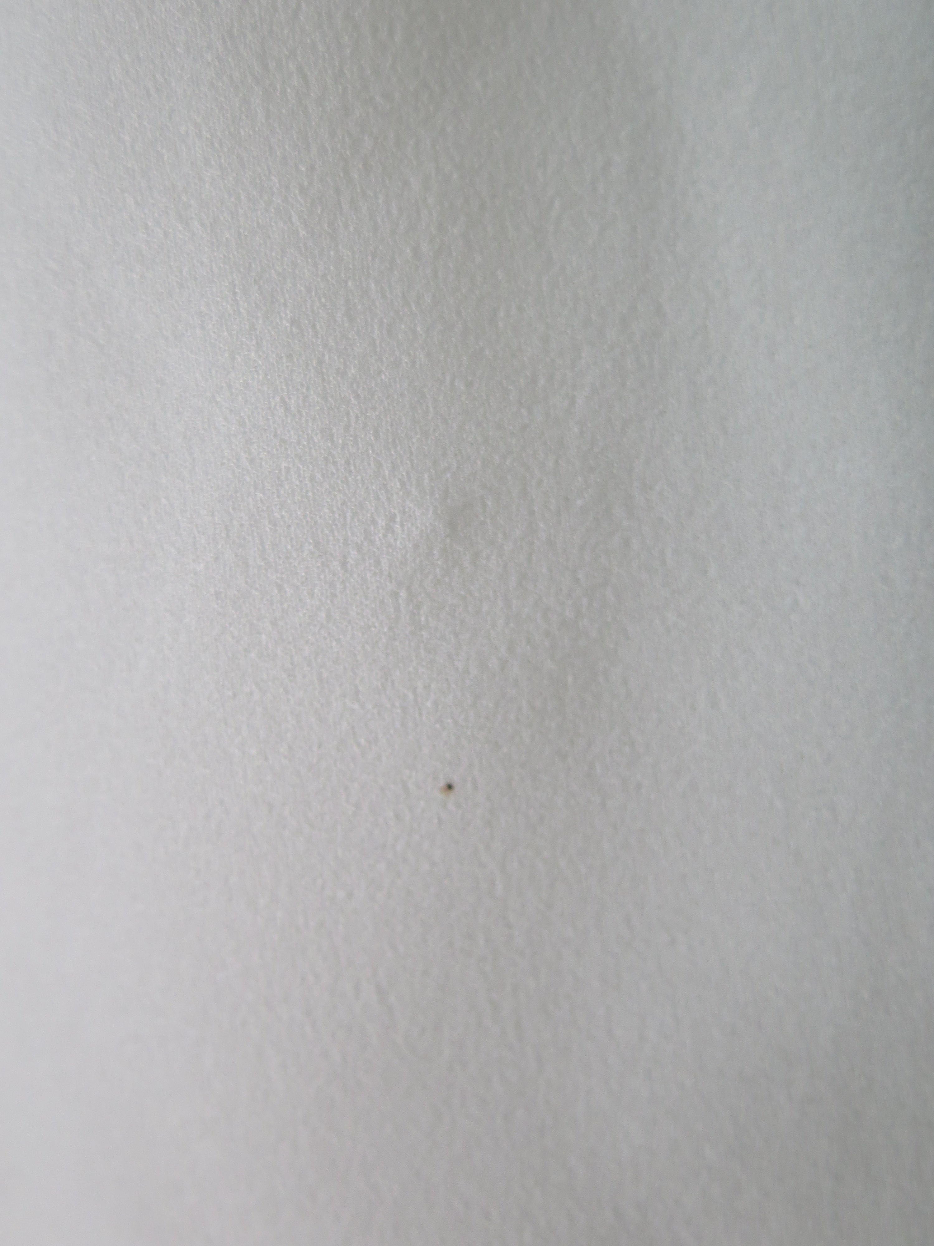 [DEFECT] Offwhite Anya L