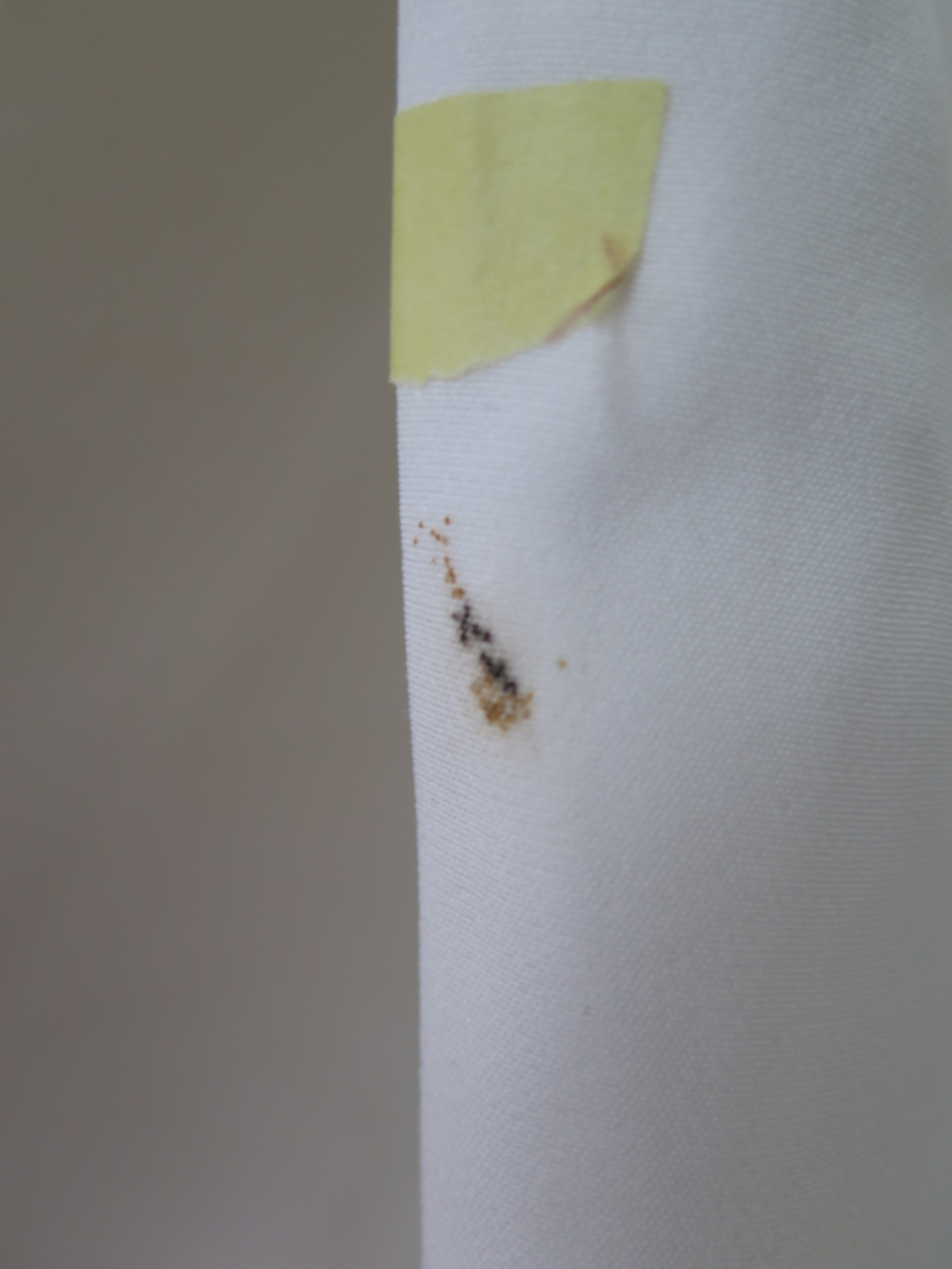 [DEFECT] Offwhite Adara S