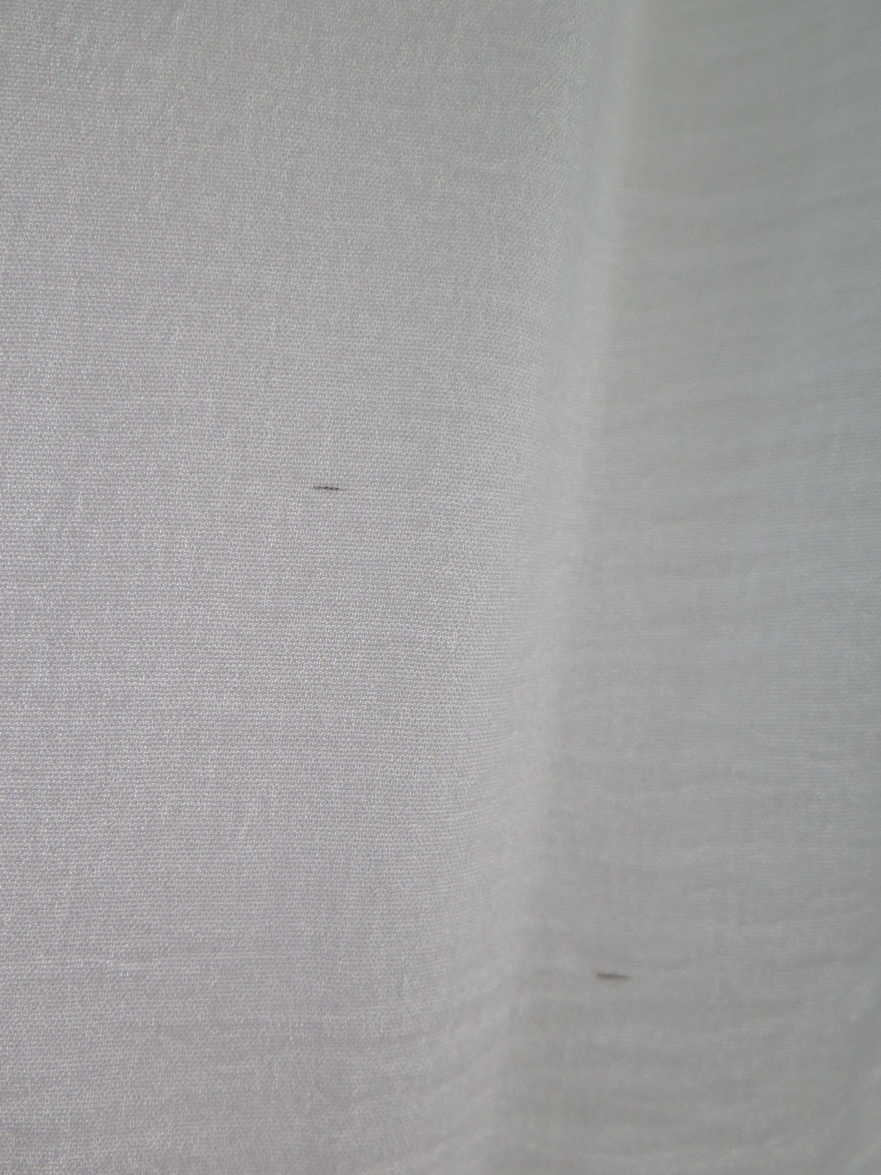 [DEFECT] Offwhite Sharva XL