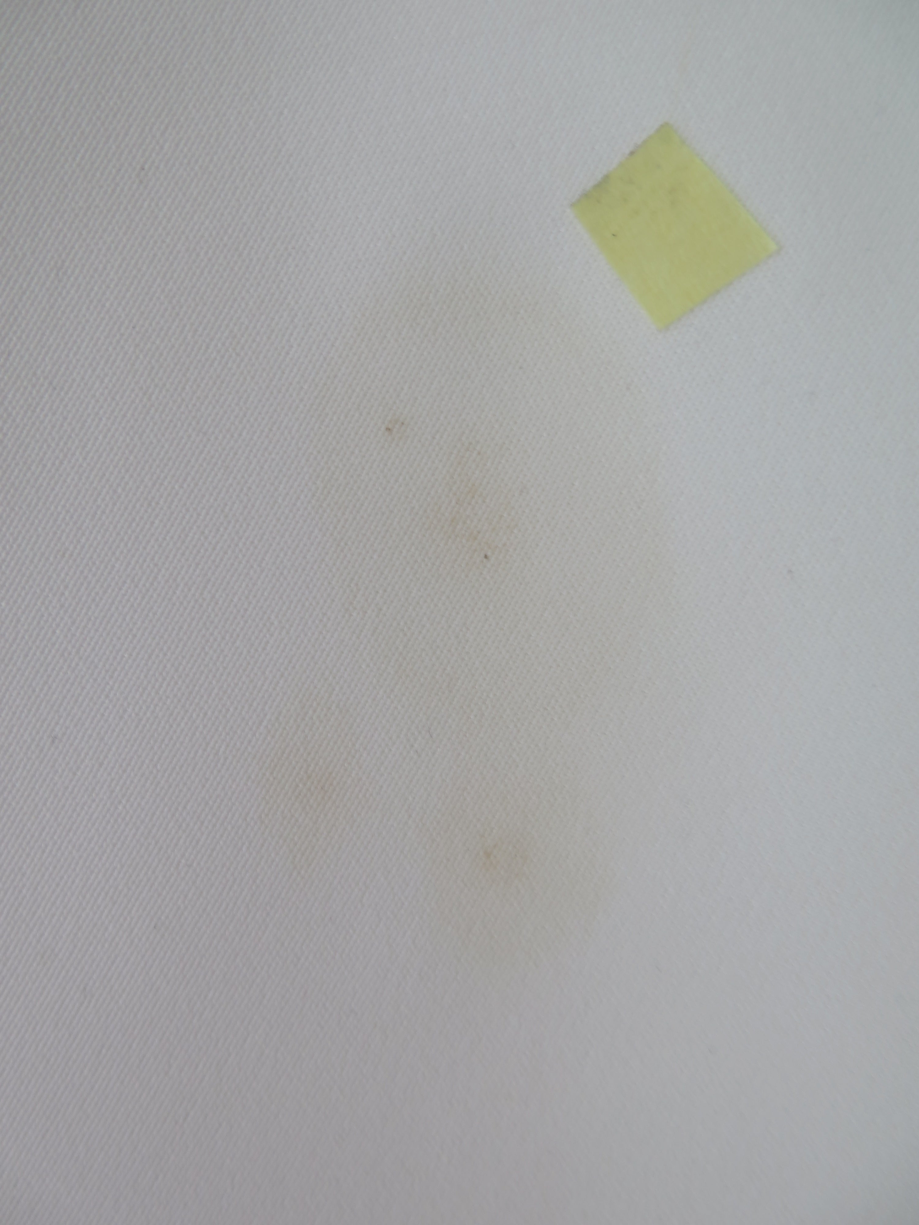 [DEFECT] Offwhite Nasha L