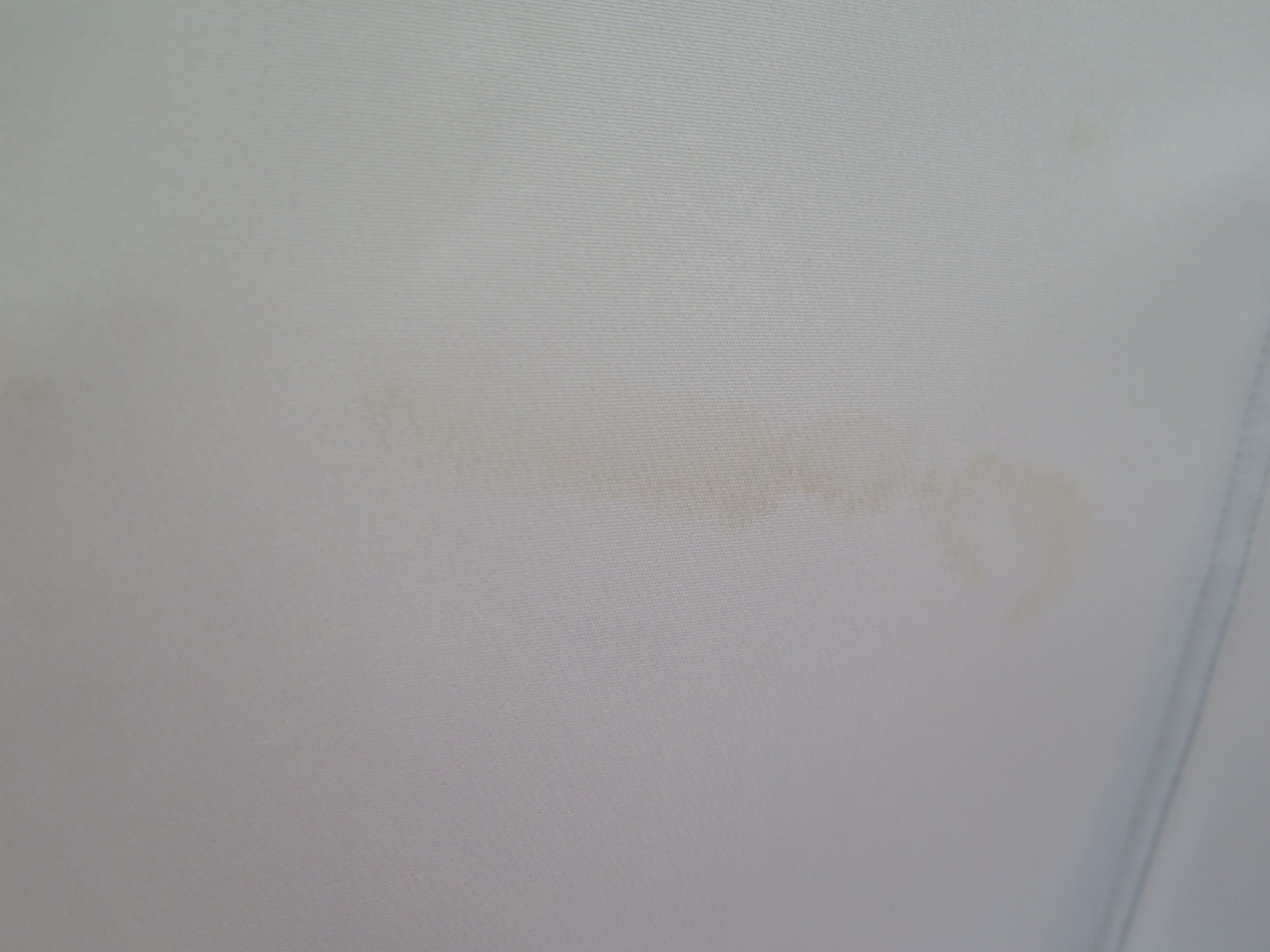 [DEFECT] Oat Chandana L