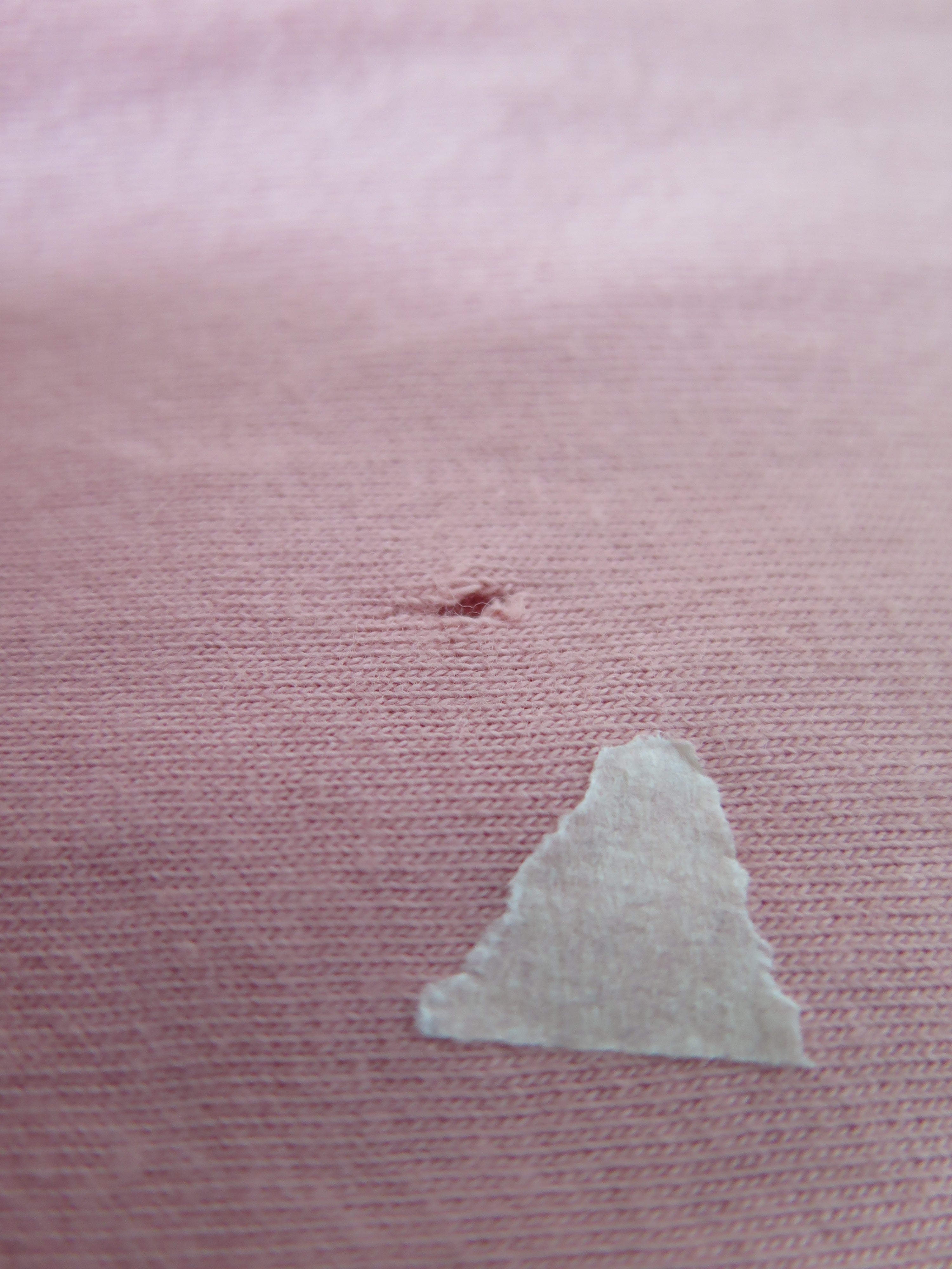 [DEFECT] Rose Quart Adani S