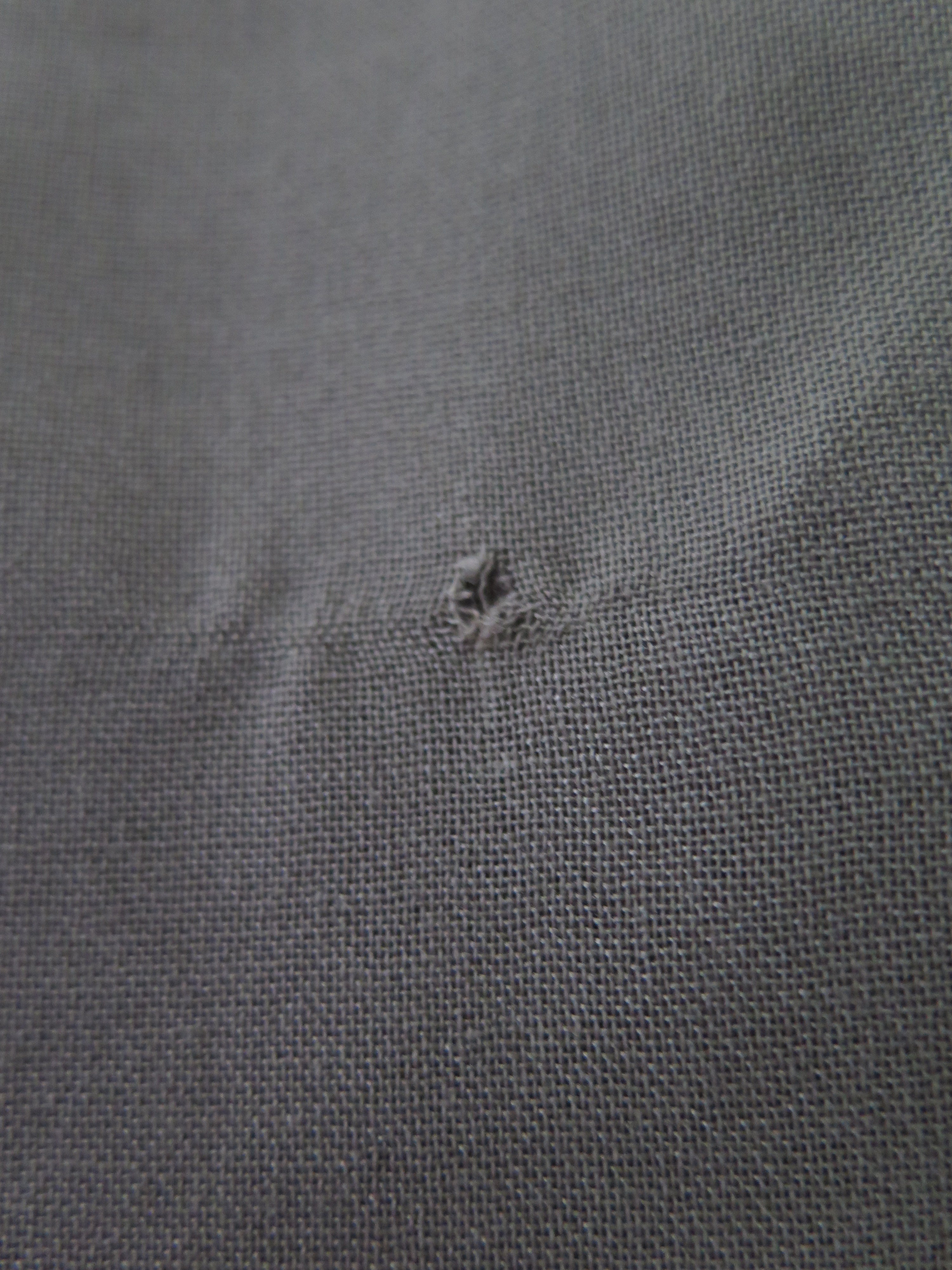 [DEFECT] Walnut Agra