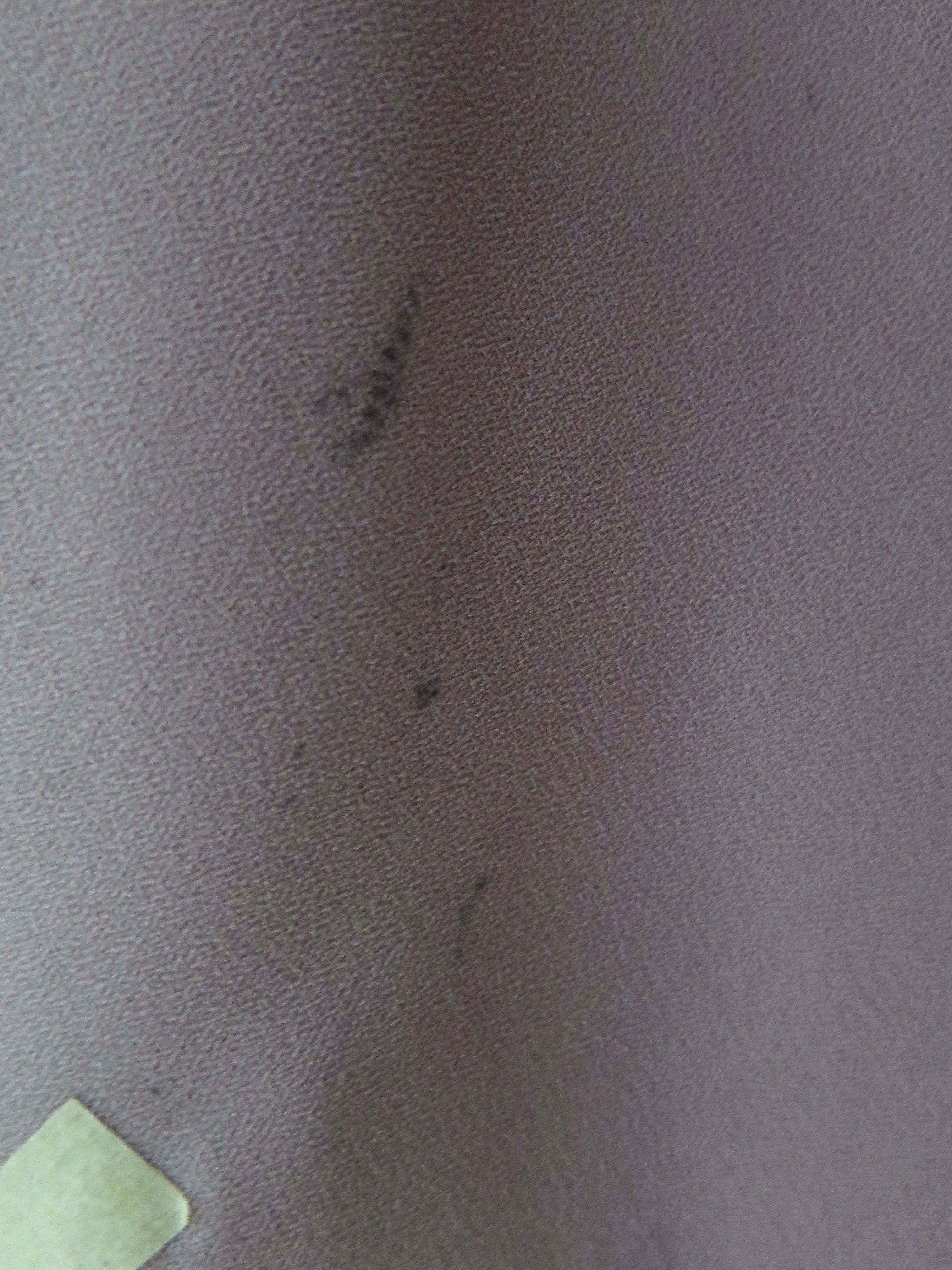 [DEFECT] Taupe Taraka S,L