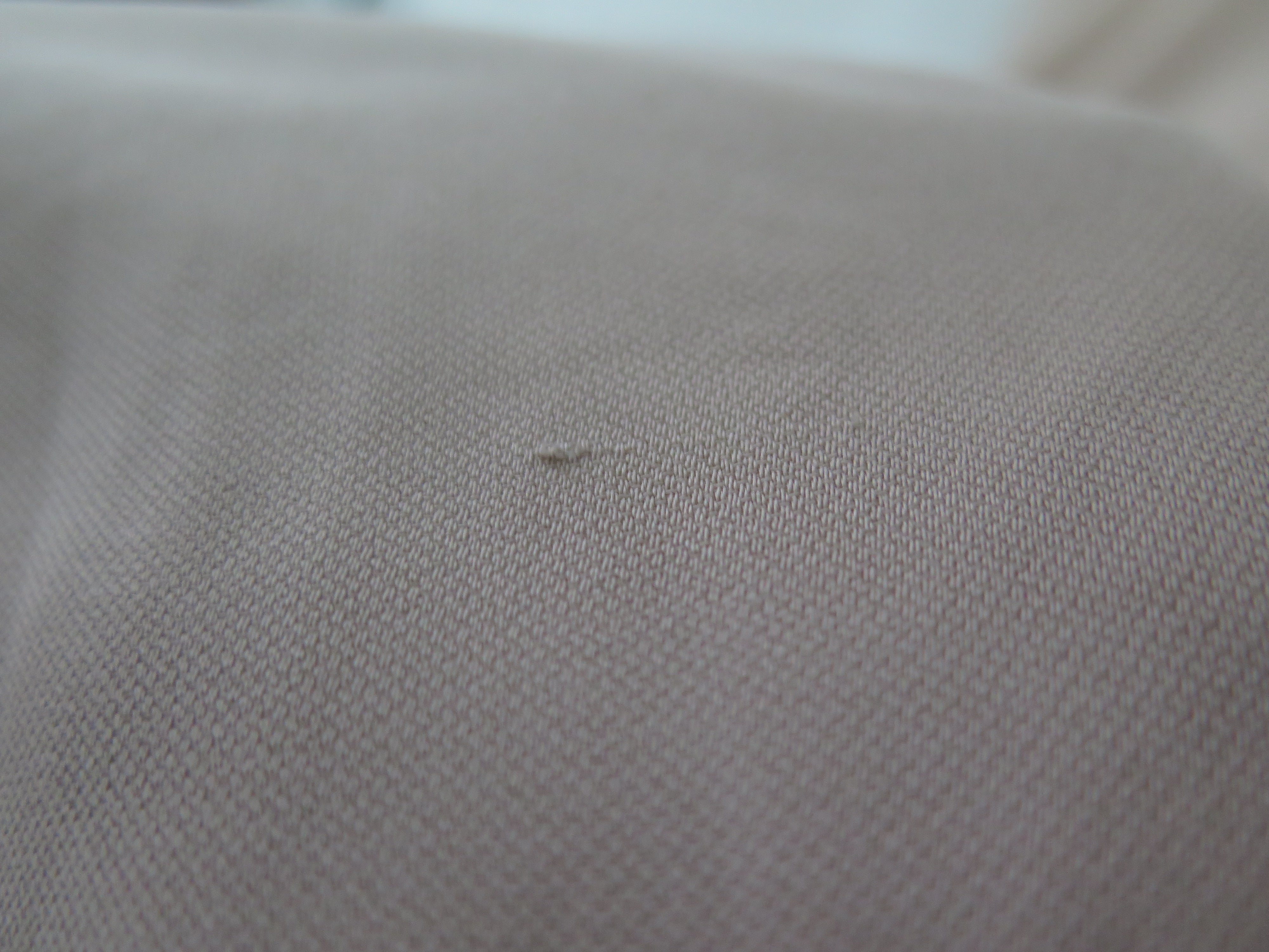 [DEFECT] Sand Sahara L