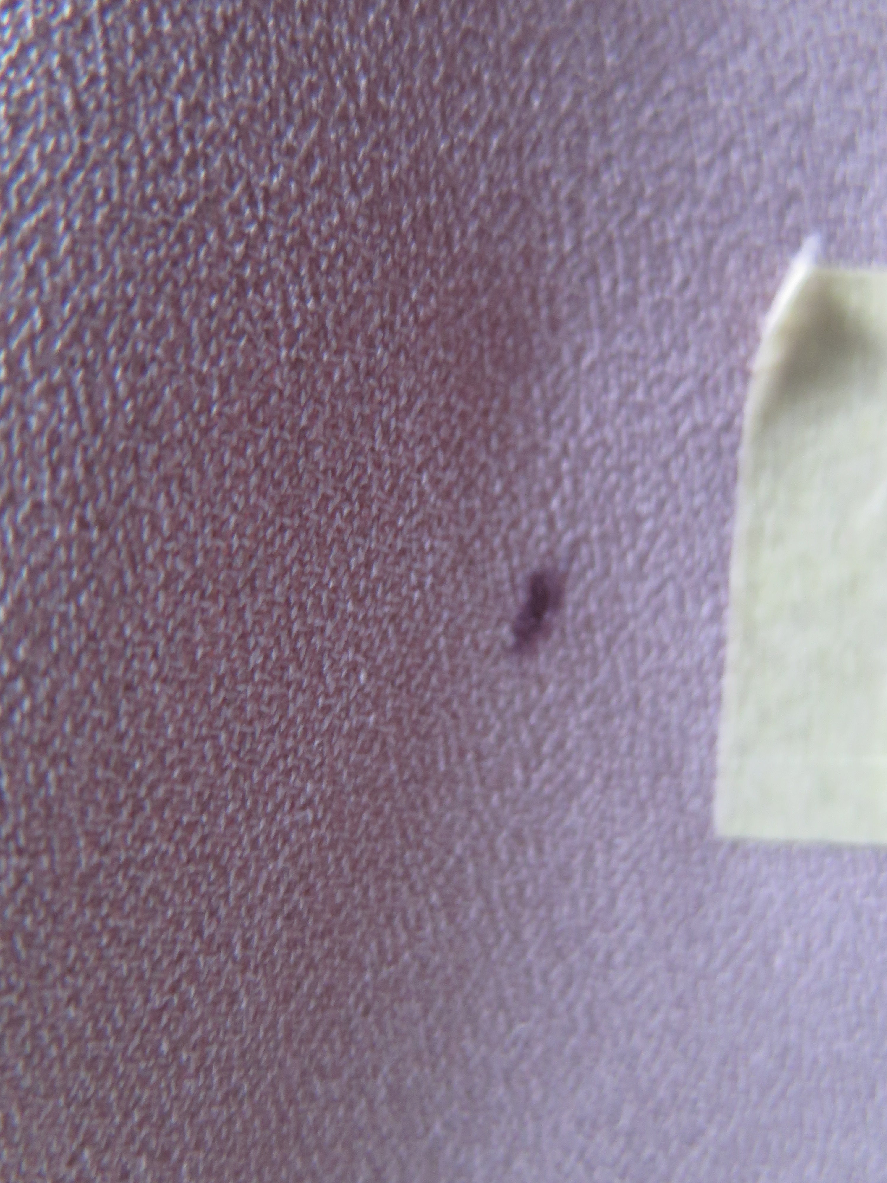 [DEFECT] Basic Sada Taupe S,XXL,3XL