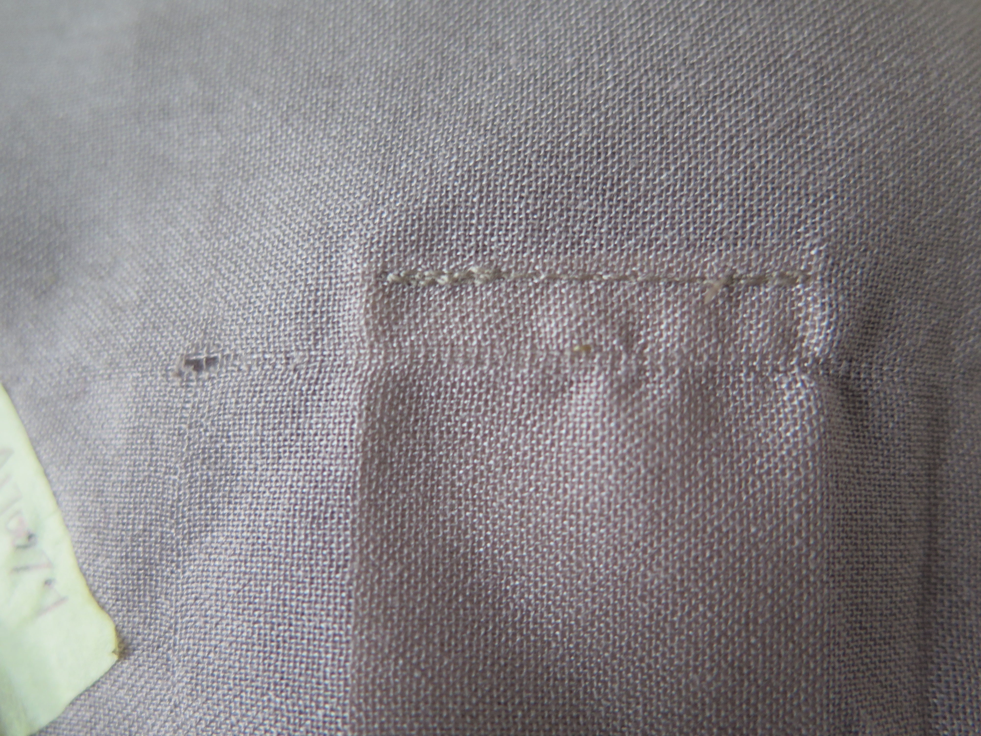 [DEFECT] Mushroom Agra