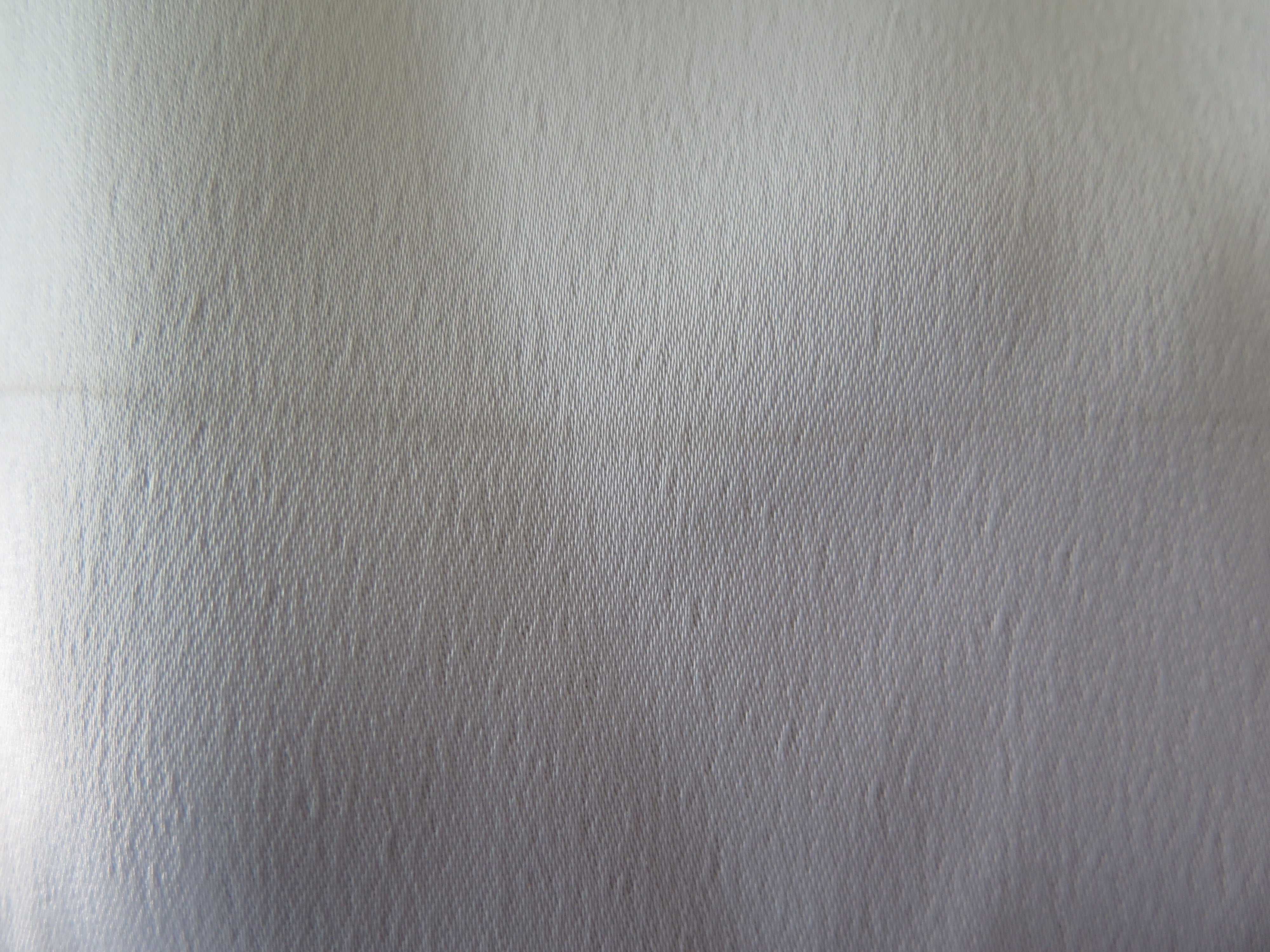 [DEFECT] Bone Tanaya M