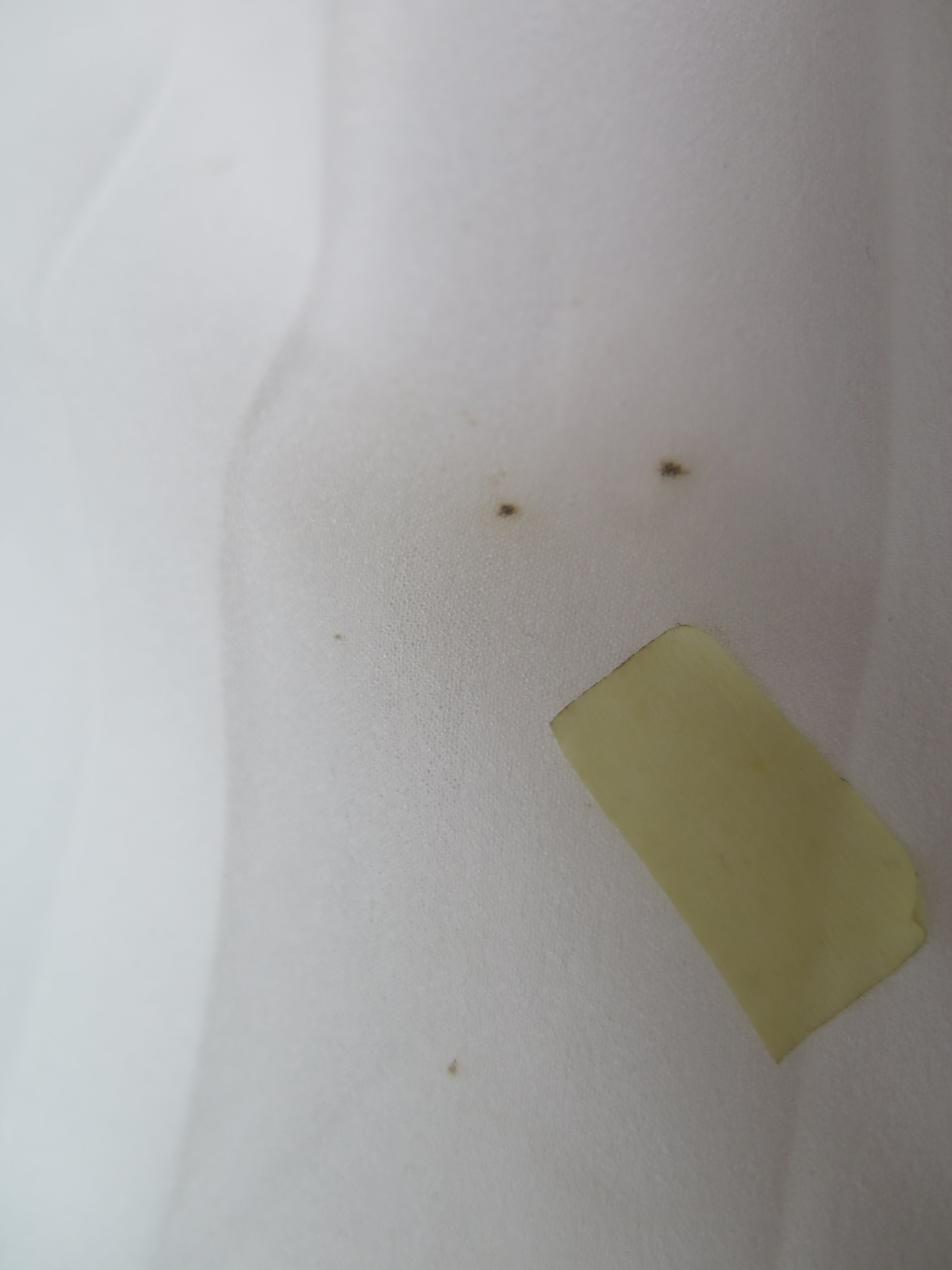 [DEFECT] Offwhite Danar S