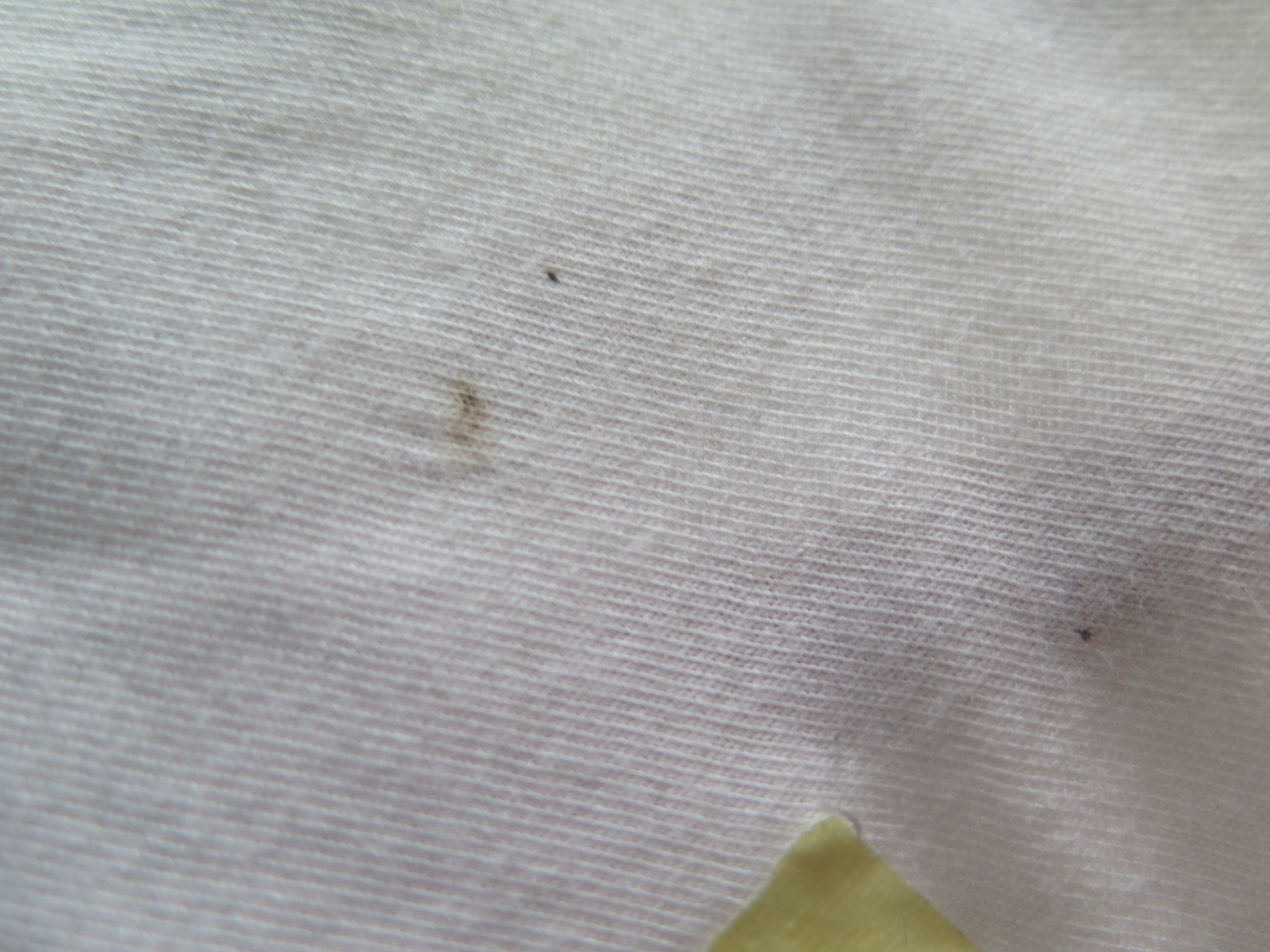 [DEFECT] Offwhite Akandra M