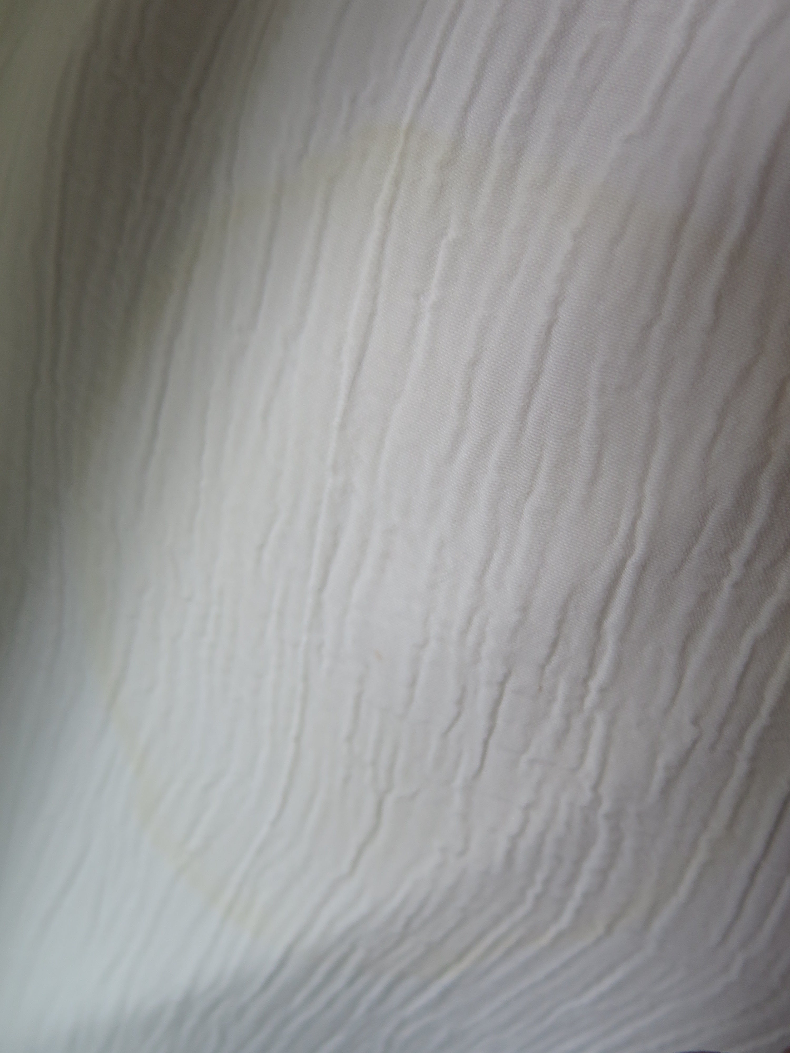 [DEFECT] Offwhite Svasti S