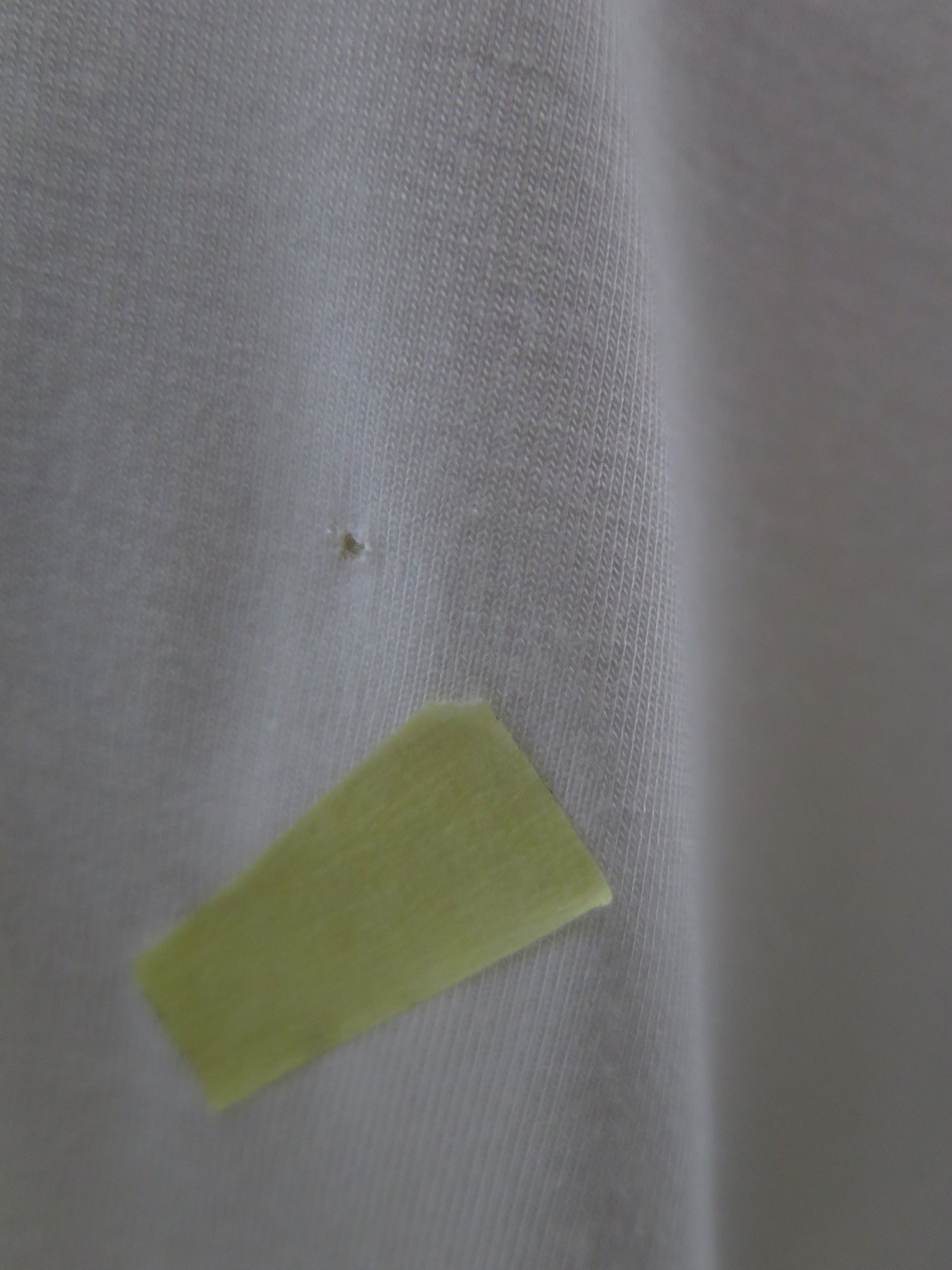 [DEFECT] Aera Inner Offwhite XS,XL